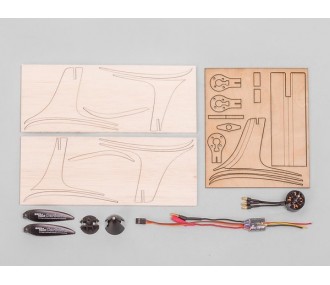 Motors & accessories Motors - Complete pylon kit (motor,esc,cone,propeller) for Lilienthal 40 Aeronaut - FLASH RC 2