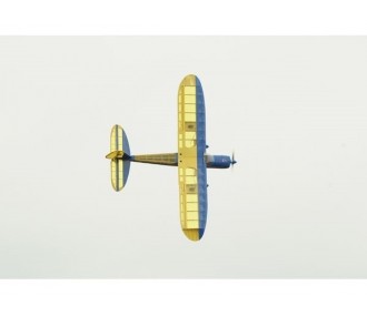 Avion Phoenix Model Rainbow EP 1,60m 2