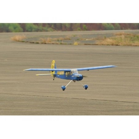 Phoenix Modelo Rainbow EP 1,60m