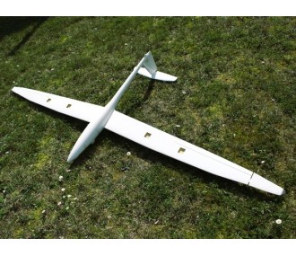 Planeadores RC - DG-1001 2,50m ARF - Modelo Real - FLASH RC 2