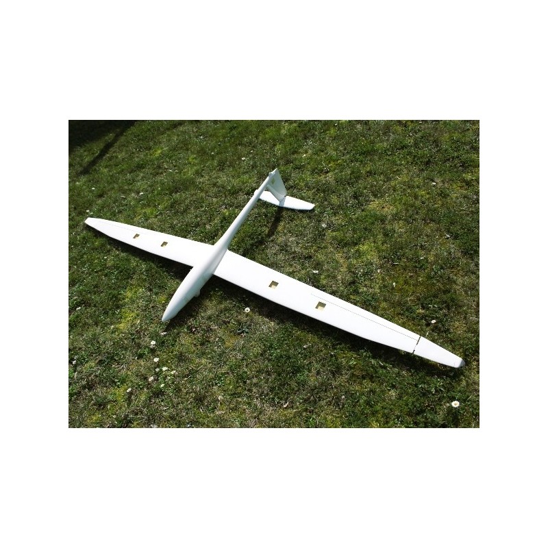 RC-Segelflugzeuge - DG-1001 2,50m ARF - Royal Model - FLASH RC
