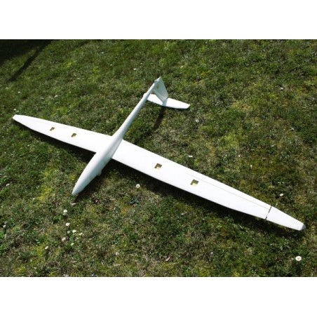 Planeadores RC - DG-1001 2,50m ARF - Modelo Real - FLASH RC