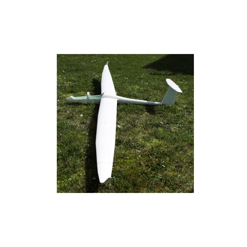Planeurs RC - DG-1001 2,50m ARF - Royal Model - FLASH RC