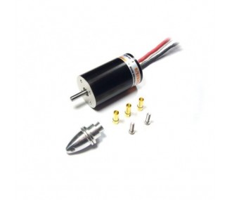 Inrunner - XB2825/6R SPECIAL RACER - FLASH RC