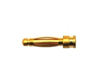 Presa oro 2/2,3/3/3,5/4/5/5,5/6/8 - Presa oro PK 2,0mm maschio (tulipano) Muldental - FLASH RC