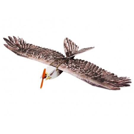 RC-Flugzeuge - Flügel Eagle II 1430mm ARF DW HOBBY (Einzelbausatz) - FLASH RC