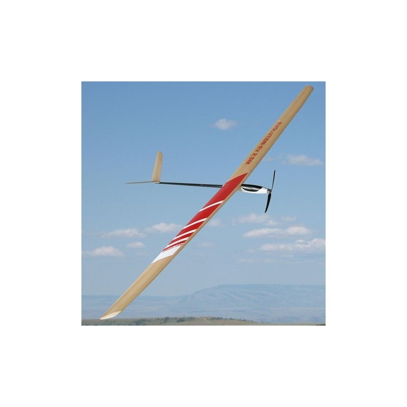 Motoplaneurs RC - Evolution EV env. 2,50m Art Hobby - FLASH RC