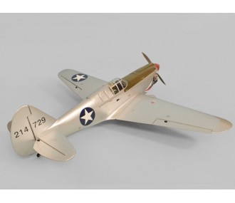 Phoenix Modello P40 Kitty Hawk .91-15CC GP/EP ARF 1,61m 2