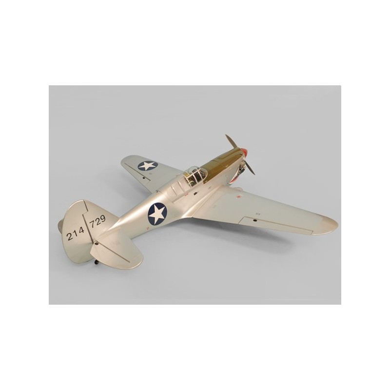 Avion Phoenix Model P40 Kitty Hawk .91-15CC GP/EP ARF 1.61m