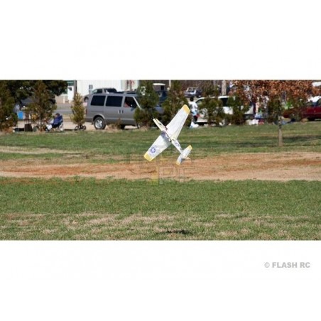 Warbirds RC - Modello di aereo Hacker P51-D Mustang contrario ARF circa 0.84m - FLASH RC