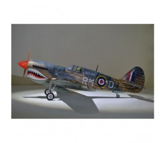 Warbirds RC - Phoenix Model P40 Warhawk 30-35cc GP/EP ARF 2.04m - FLASH RC