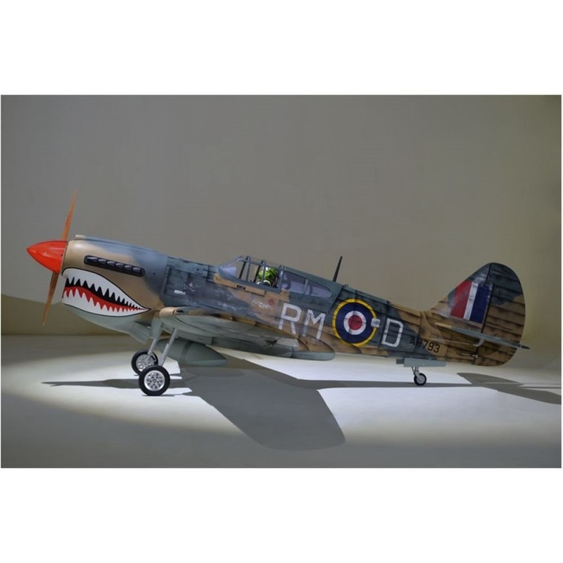 Warbirds RC - Phoenix Model P40 Warhawk 30-35cc GP/EP ARF 2.04m - FLASH RC