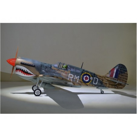 Warbirds RC - Phoenix Model P40 Warhawk 30-35cc GP/EP ARF 2.04m - FLASH RC