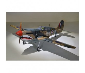 Warbirds RC - Phoenix Model P40 Warhawk 30-35cc GP/EP ARF 2.04m - FLASH RC 2