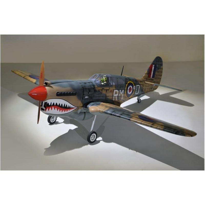 Warbirds RC - Flugzeug Phoenix Model P40 Warhawk 30-35cc GP/EP ARF 2.04m - FLASH RC