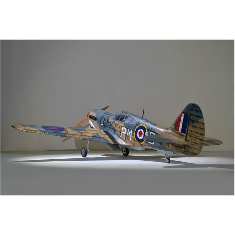 Warbirds RC - Phoenix Model P40 Warhawk 30-35cc GP/EP ARF 2.04m - FLASH RC