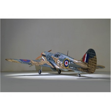 Warbirds RC - Flugzeug Phoenix Model P40 Warhawk 30-35cc GP/EP ARF 2.04m - FLASH RC
