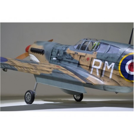 Warbirds RC - Flugzeug Phoenix Model P40 Warhawk 30-35cc GP/EP ARF 2.04m - FLASH RC