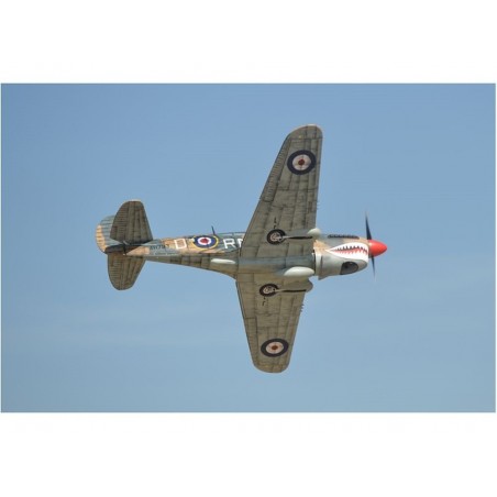 Warbirds RC - Phoenix Modelo P40 Warhawk 30-35cc GP/EP ARF 2.04m - FLASH RC