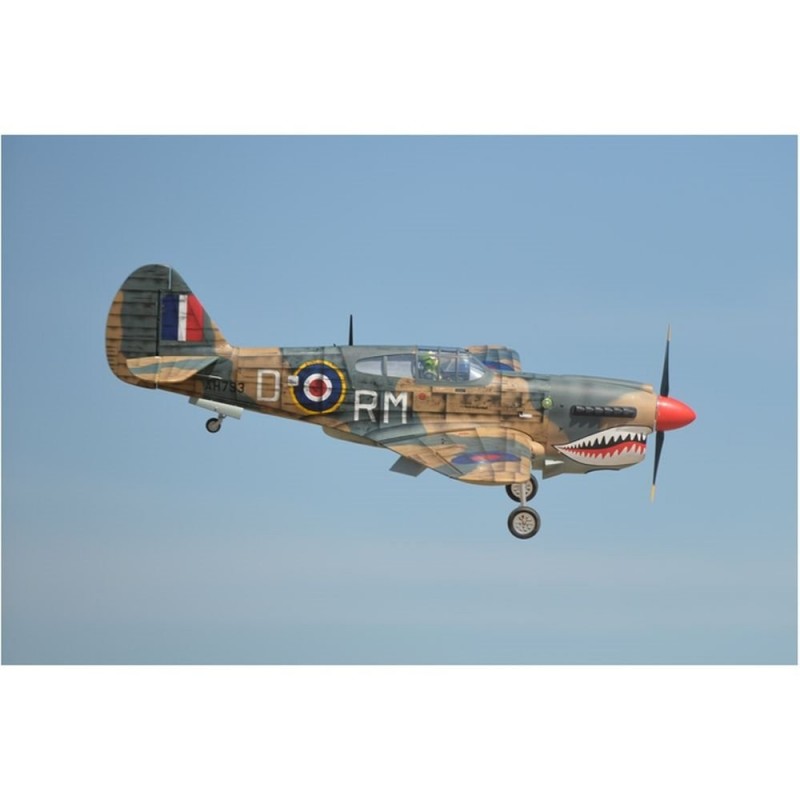 Warbirds RC - Phoenix Model P40 Warhawk 30-35cc GP/EP ARF 2.04m - FLASH RC