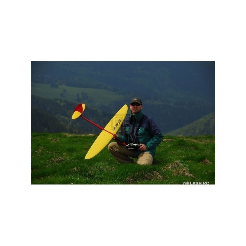 Planeurs RC - Sunbird Full Carbon env.1.50m blanc & rouge RCRCM - FLASH RC
