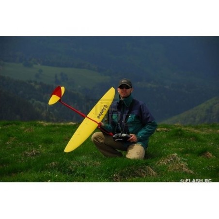 RC Gliders - Sunbird Full Carbon approx.1.50m white & red RCRCM - FLASH RC
