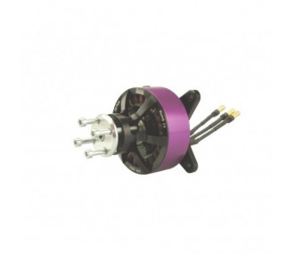 Outrunner - Brushless Motor Hacker Q80-8M V2 - FLASH RC
