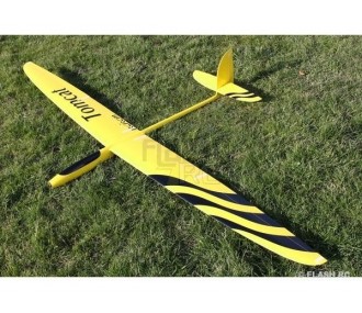 Motoalianti RC - E-Tomcat Full carbon 2,60m giallo e nero RCRCM - FLASH RC