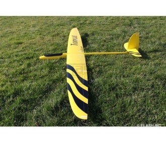 Motoplaneurs RC - E-Tomcat Full carbone 2.60m jaune & noir RCRCM - FLASH RC 2