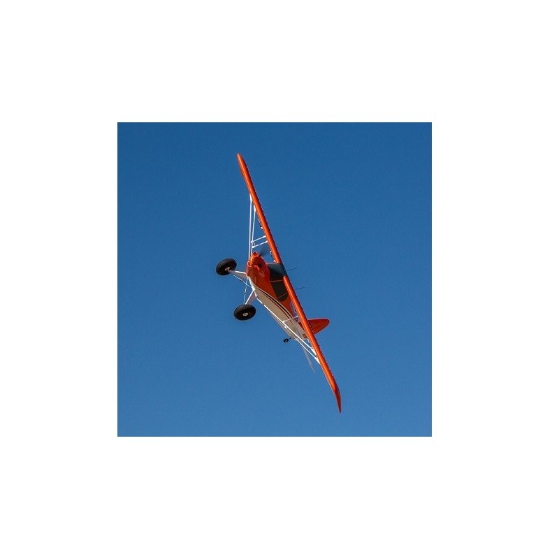 Aerei RC per principianti - E-flite Carbon-Z CUB SS BNF basic AS3X & SAFE ca.2.10m - FLASH RC