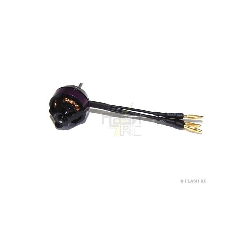 Indoor - Brushless Motor Hacker A10-12S - FLASH RC