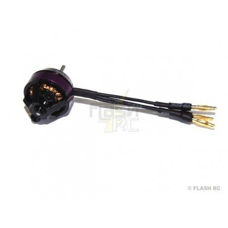 Interior - Motor Brushless Hacker A10-12S - FLASH RC