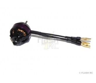 Indoor - Moteur Brushless Hacker A10-15S - FLASH RC 2