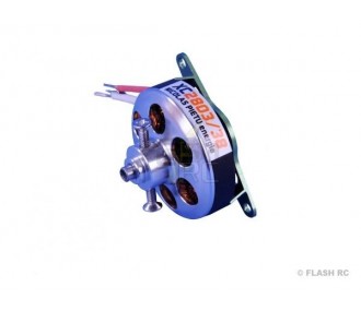 Interno - Motore XC2803/38 NICOLAS PIETU energia - FLASH RC
