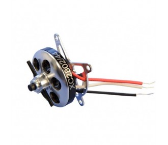 Interior - Motor XC2802/44 NICOLAS PIETU Pluma - FLASH RC