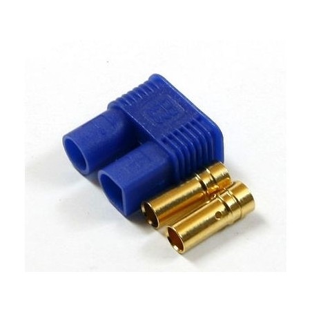 Presa EC2/EC3/EC5/DC3 - Presa EC3 Amass - FLASH RC