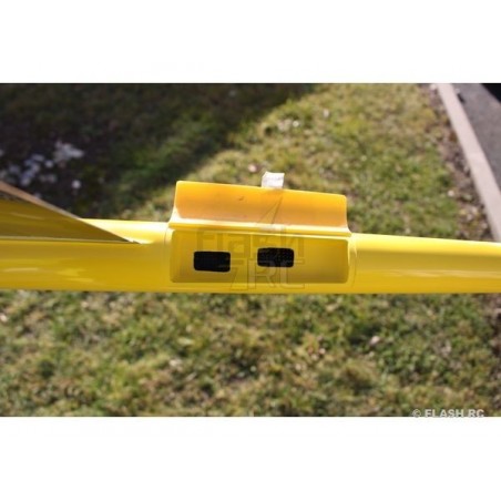 Alianti RC - E-Typhoon Full Carbon 2,00m giallo e nero RCRCM - FLASH RC