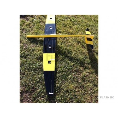 Motoplaneurs RC - E-Typhoon tout fibre env.2.00m jaune & noir RCRCM - FLASH RC
