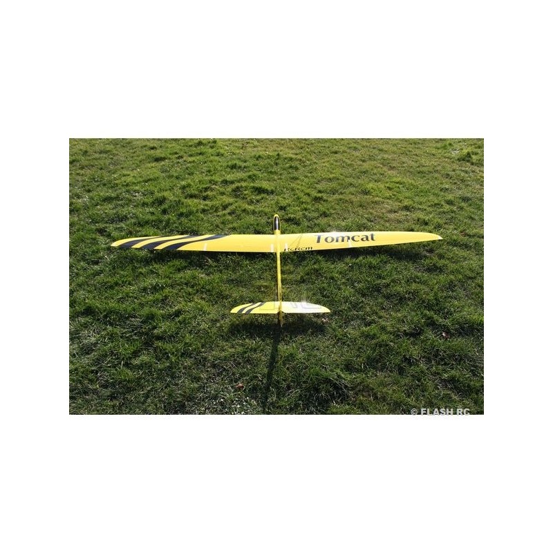 RC-Motorsegler - E-Tomcat Vollfaser ca.2.60m gelb & schwarz RCRCM - FLASH RC