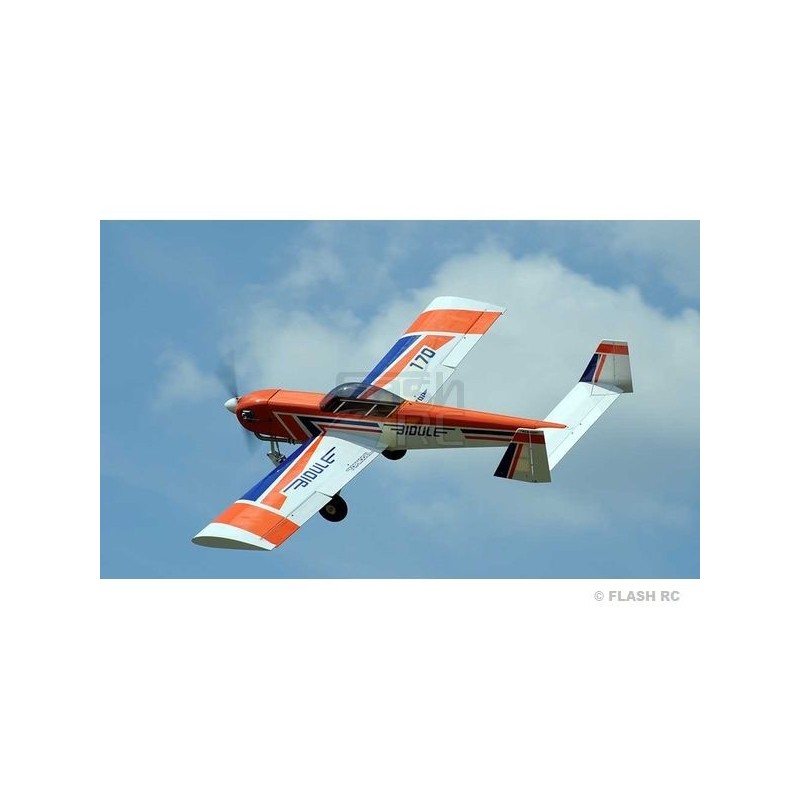 Avion Ecotop Bidule 170 ARF env.3.48m - FLASH RC