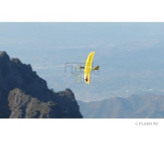 Ali volanti RC - Ala volante Angela gialla circa 2,00m RCRCM - FLASH RC 2