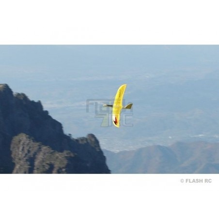 RC Flying Wings - Yellow Angela Flying Wing approx.2.00m RCRCM - FLASH RC