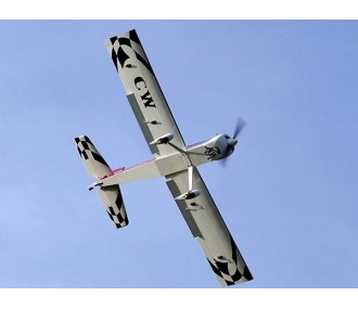 RC-Flugzeuge für Anfänger - Flugzeug Ecotop Charlie Whisky 35cc ARF ca.2,25m - FLASH RC 2