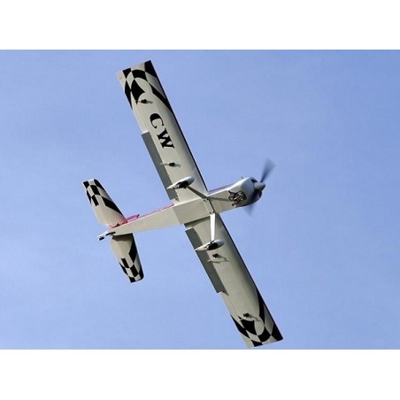 RC-Flugzeuge für Anfänger - Flugzeug Ecotop Charlie Whisky 35cc ARF ca.2,25m - FLASH RC