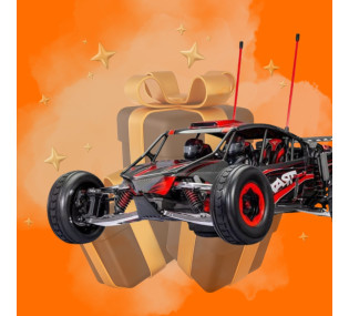 Gift selection for RC car beginners