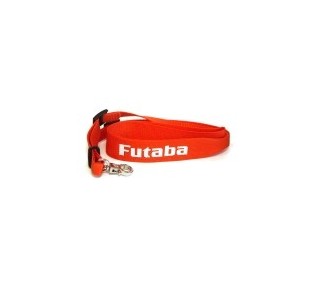Cinghie, ganci, supporti